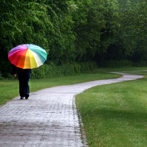 梅雨の時期でも・・・・