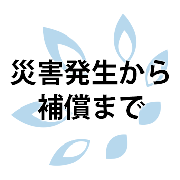 災害発生から補償の流れ