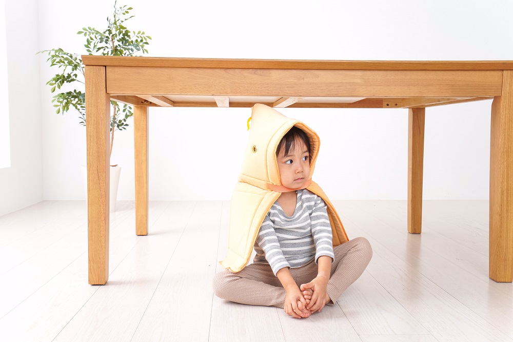 孤立住戸を救う太陽光発電