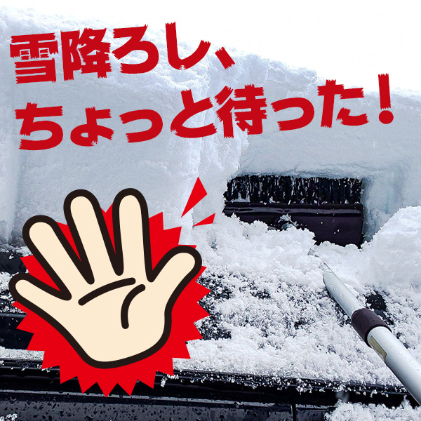 雪降ろし、ちょっと待った！